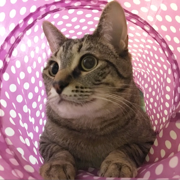 Meet your Posher, Cristina - Picture 5 of 8